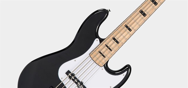 Bass Guitars